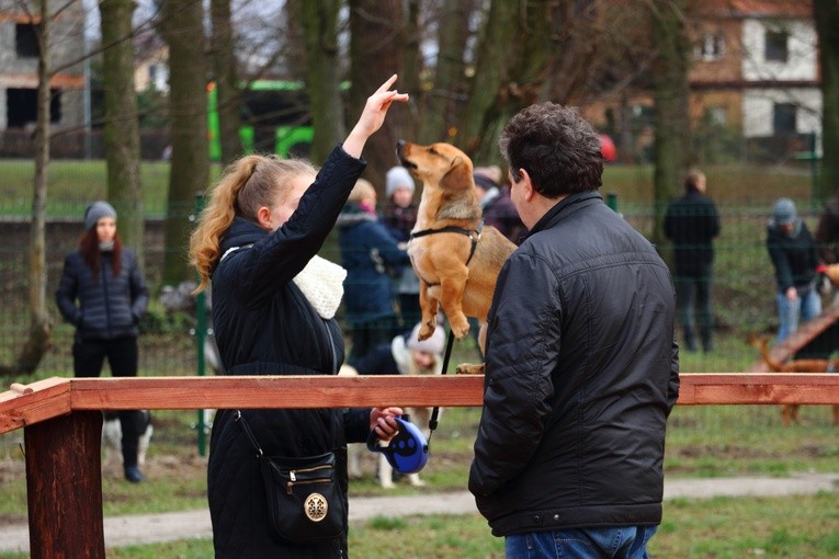 Park dla psów w Elblągu