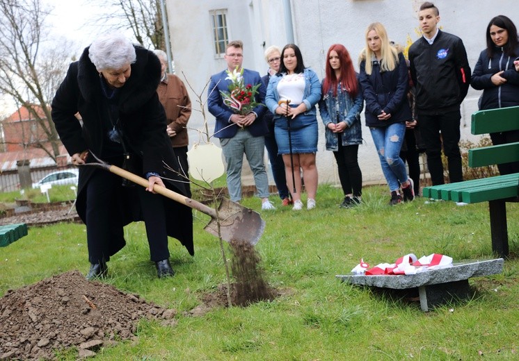 Bursa nr 4 w Elblągu - sadzenie dębu pamięci