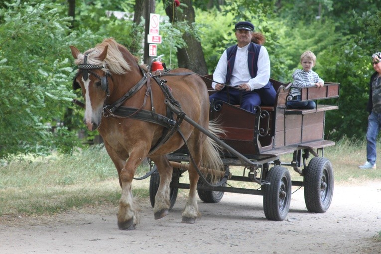 Miodobranie w Skansenie 2019