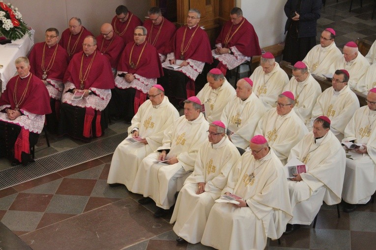 Episkopat w Płocku. Msza w kolegiacie