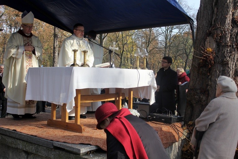 Wszystkich Świętych w Płocku