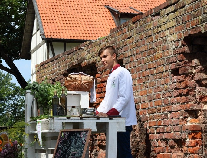 Oliwa, wakacje, seniorzy