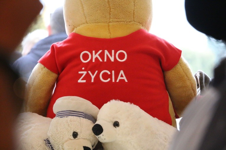 Płońsk. Okno życia