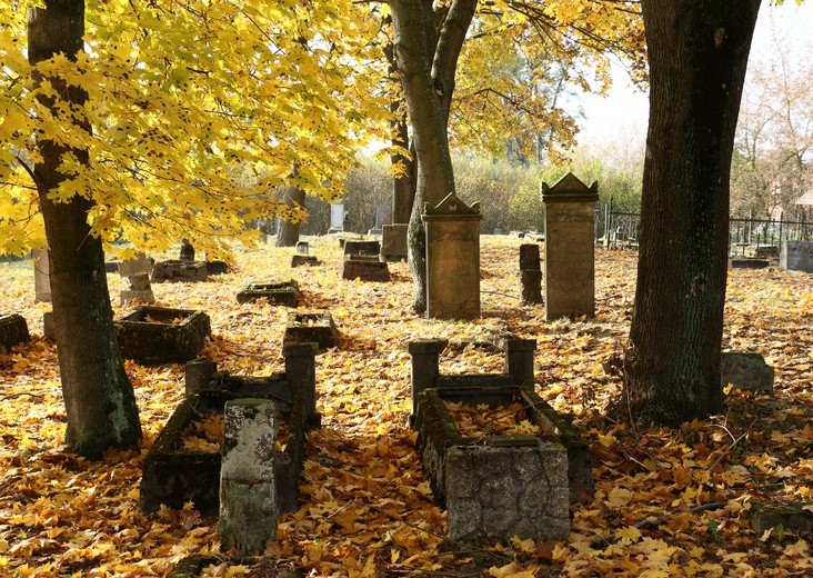 Cmentarze ukryte w lesie