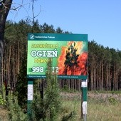 "Pożarowa pogoda" w polskich lasach