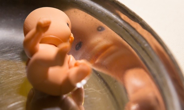 Najstarsza organizacja pro life na świecie wsparła projekt inicjatywy Stop Aborcji